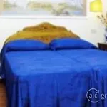 Hotel Airone 3*